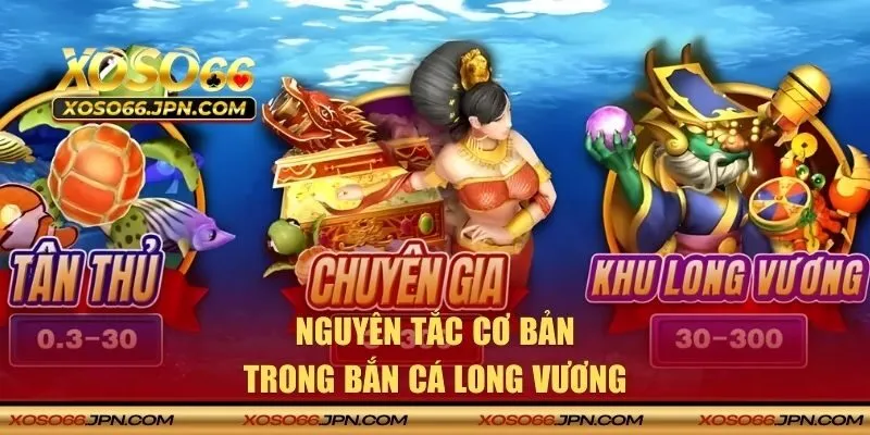 Nguyên tắc cơ bản trong dragon fishing
