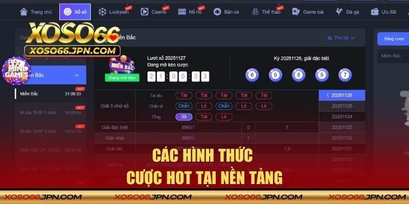 Các hình thức cược hot tại nền tảng