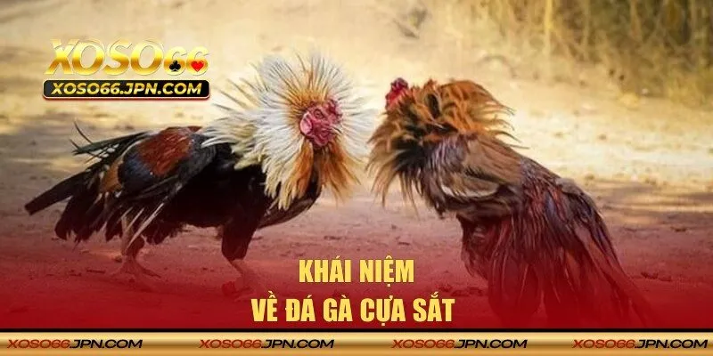 Giới thiệu về đá gà cựa sắt