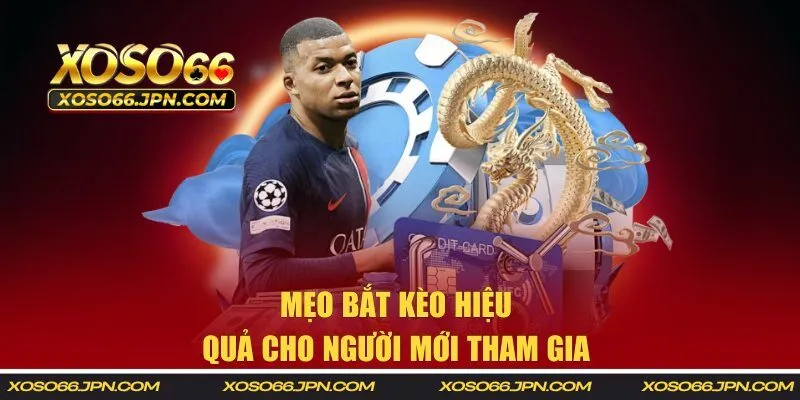 Mẹo bắt kèo hiệu quả cho người mới tham gia